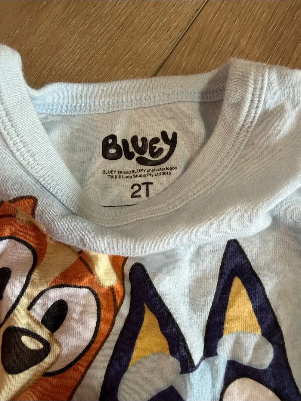 Set of 2 Bluey PJ sets|2T